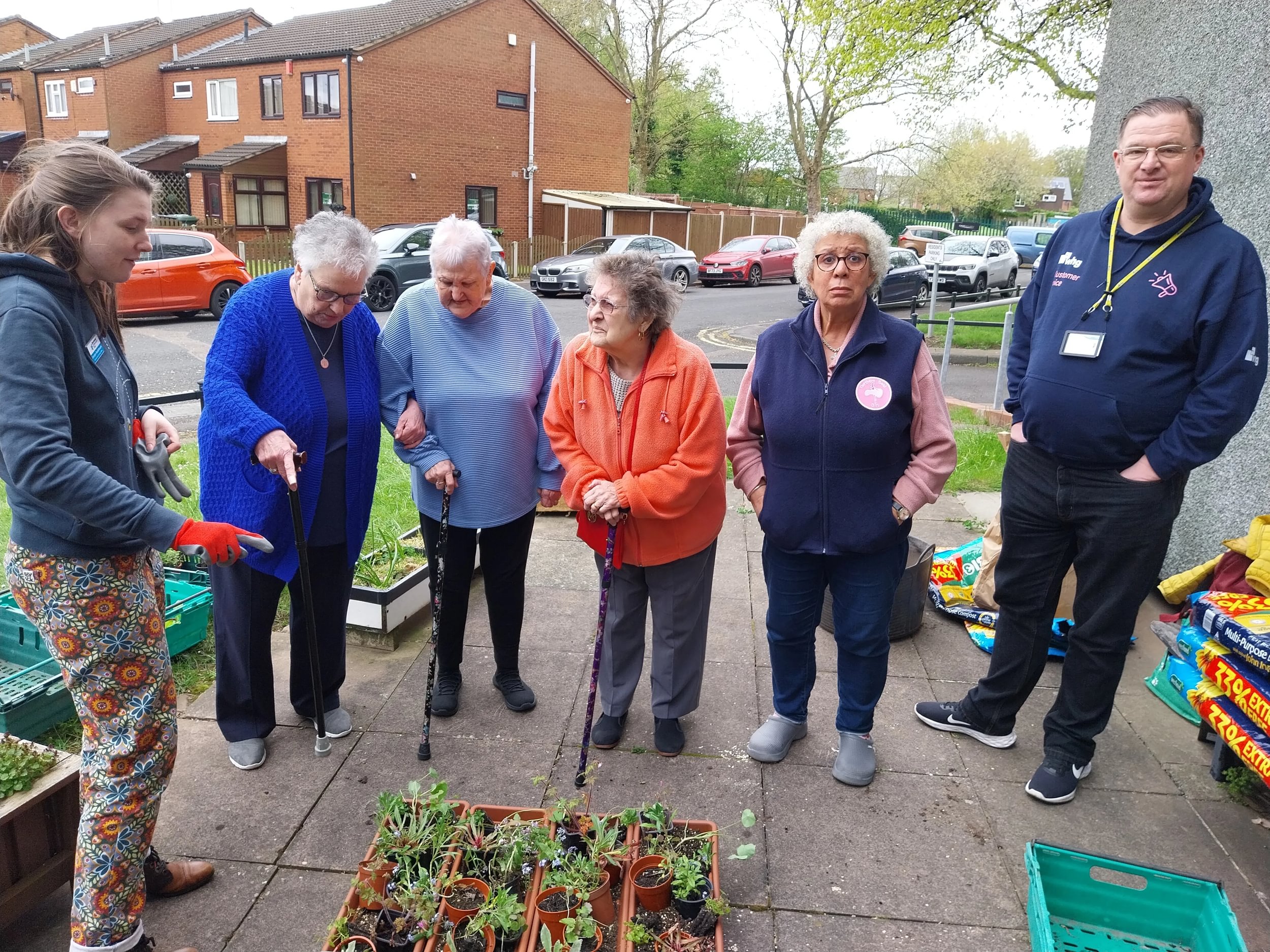whg residents spruce up balconies with bumblebee-friendly planters