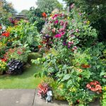 Last year's winning entry for Best Garden